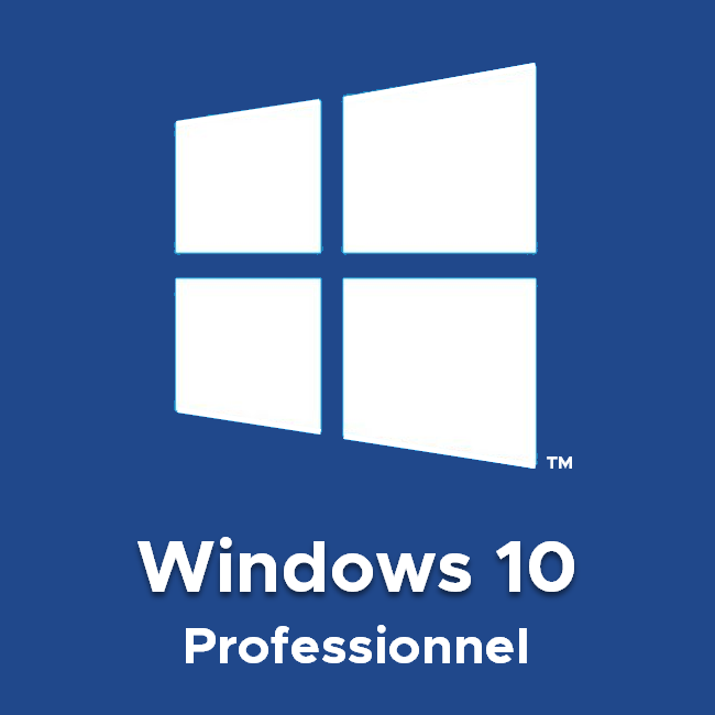 windows 10 professionnel
