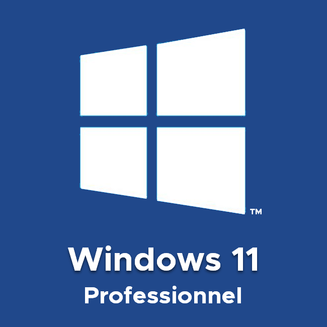 windows 11 professionnel
