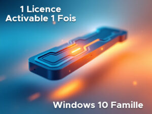 Licence Windows 10 Famille