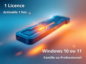 Windows 10 ou 11 / Famille ou Pro